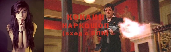 ALPHA PVP Няндома